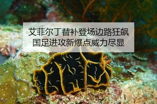 艾菲尔丁替补登场边路狂飙 国足进攻新爆点威力尽显